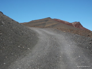 nte Pizzillo-21-10-2012 09-42-10